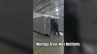 Secadora con bomba de calor Coattech de 7 HP | Deshidratación Industrial de Moringa